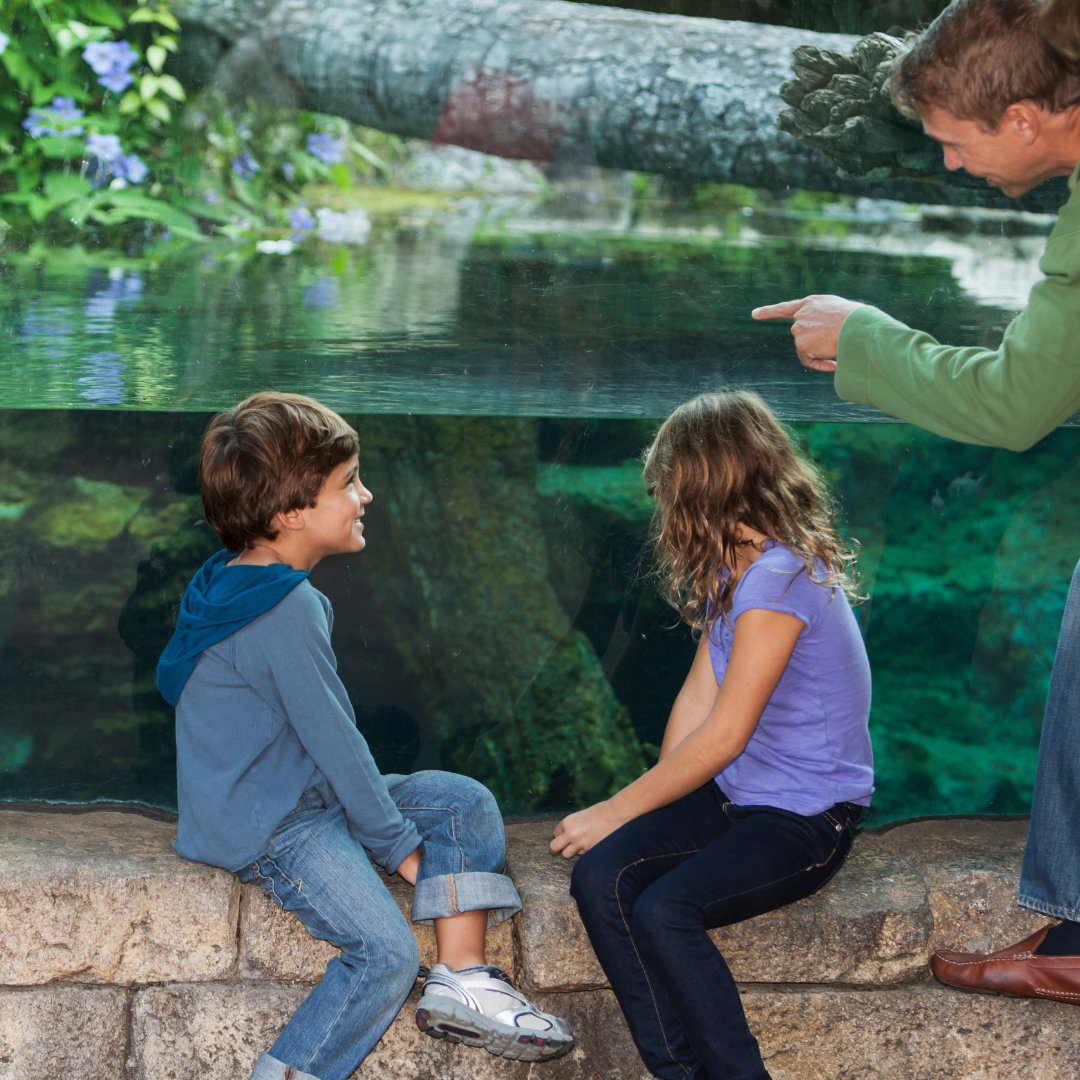 Bring the whole family and visit the Austin Zoo